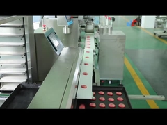 Biscotti affettati che Encrusting la macchina di fabbricazione del biscotto del macchinario 100g